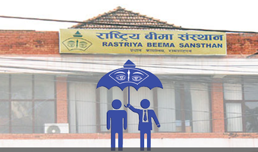 The number of property insurers increased by 385 percent,  5 billion more premiums collected